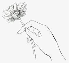 Red roses, skull and skeleton hand. Daisy Flower Red Hand Nails White Draw Tumblr Hand Holding Flower Drawing Hd Png Download Transparent Png Image Pngitem