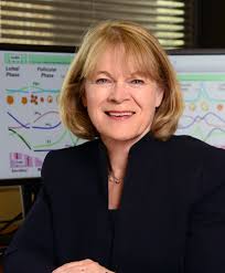 NIH Dental Clinic New Partnership with Spanish Neuroscientists