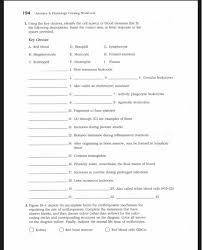 Anatomy physiology mcts windows 7 configuration study guide: Solved 194 Anatomy Physiology Coloring Workbook 2 Usin Chegg Com