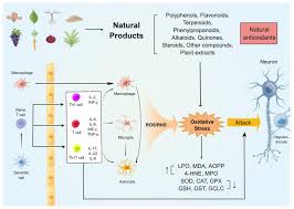 Image result for Sesamum parviflorum