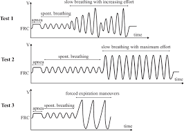 Three Tests Of The Spirometry Eit Experiment Download