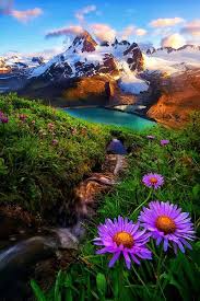 We must preserve the forests so that we have more fresh air to breathe. 900 Beautiful Nature Ideas Beautiful Nature Nature Scenery