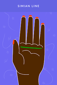 The lines on our palm can reveal a lot about our personality, our character, health and money. How To Read Palms Lines Beginner Palmistry Guide