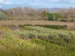Arboriculteurs A Valbonne 06560 Fruits En Vente Directe Producteur