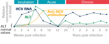 Additional key facts about the hepatitis c virus from the cdc include: Elecsys Anti Hcv Ii