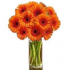Orange Happy Gerberas With Images Online Flower Delivery Flower Delivery Buy Flowers Online