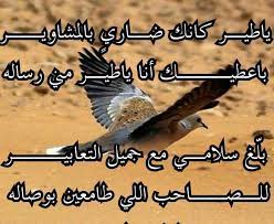 عشق البداوه relationship