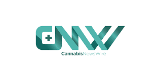 Toronto stock market & finance report, prediction for the future: O Cannabiz Toronto 2021 Champignon Brands Inc Cse Shrm Otc Shrmf Fwb 496 Poised To Rapid Growth In The Burgeoning Psychedelics Market