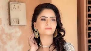 Pornography case: ED question actor Gehana Vashisht for more than six hours  in money laundering probe | Mumbai News - The Indian Express