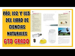 Mediante estos libros aprenderás y ampliarás nuevos conocimientos y destrezas fundamentales para el área de ciencias naturales. Pag 102 Y 103 Del Libro De Ciencias Naturales Sexto Grado Youtube