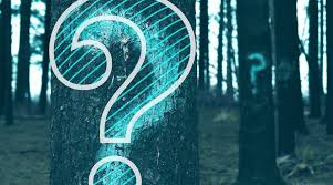 The current balance of your traditional. Can I Contribute To A 401k And An Ira Personal Capital