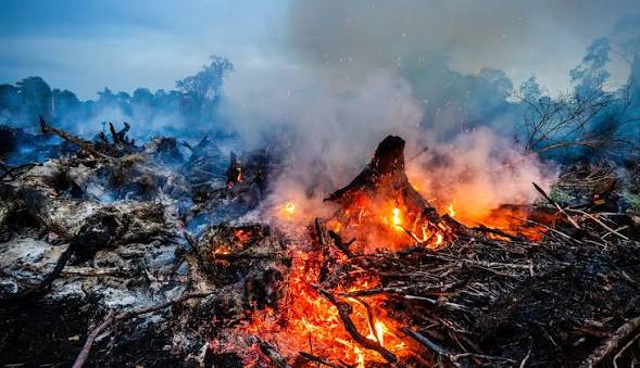Indonesian authorities are intensifying firefighting operations as fires continue to burn across Sumatra and Kalimantan, with thick smoke and haze spreading across Southeast Asia. The first images is just a small fire,