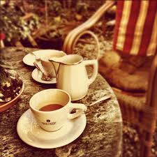 See more ideas about tea time, tea, tea quotes. Free Photo Tea Time Cup Drink Tea Free Download Jooinn