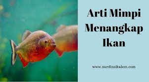 Mimpi Menangkap Ikan Di Air Keruh