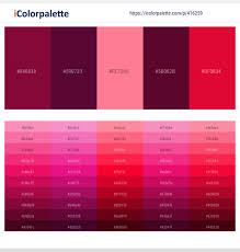 As a workaround i can set resolution and fullscreen in ~/.config/unity3d/wildgrass/hot pink/prefs. 23 Latest Color Schemes With Maroon And Hot Pink Color Tone Combinations 2021 Icolorpalette