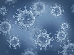 550+ Virus Pictures | Download Free Images on Unsplash