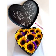 Que si quieres ser mi novia. A 108 Caja Quieres Ser Mi Novia Floristeria Nandallo Costa Rica