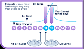 Ovulation Tests Digital Tests Sticks And Kits Clearblue