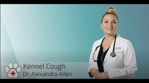 See full terms and conditions. Veterinarian In Old Town Chicago Old Town Animal Care Center