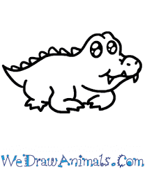 How To Draw A Baby Alligator