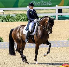 We did not find results for: Showtime 2016 Olympic Team Gold Medal Mount For Dorothee Schneider Out Of German Championships Dressage News