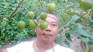 FLORIDABLANCA NEWS AND CURRENT EVENTS.