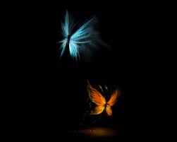 Butterflies are one of a lot of varied as well as attractive insects worldwide. Butterfly Effect Wallpapers Black Background Hd Love 1280x1024 Wallpaper Teahub Io