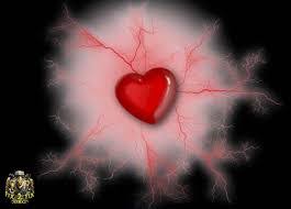 Image result for tbn:NPPRMe2lt8--qM::gallery.dll3.com/data/media/5/mw40_L.jpg