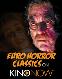 DVD REVIEW: "THE SLEEPWALKER" (2014), A FILM BY MONA FASTVOLD