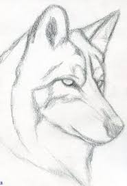 20 Easy Tutorials Voor Beginners Coole Dingen Om Te Tekenen Stap Voor Stap Drawi Schetsen Tekenen Dieren Tekenen Tekenen