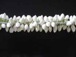 The jasmine flower is either deciduous (which means the leaves fall in the autumn) or evergreen (which means the leaves are green all year round). Jasmine Flower Manufacturers Jasmine Flower Suppliers Exporters Wholesalers In India