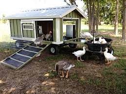 Reece goose tatum was born in el dorado, arkansas on may 31, 1921 to ben and alice tatum. Portable Goose Wagon Coop And Pond With Rain Catchment System Youtube