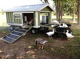 This layout can be tweaked to suit your needs. Portable Goose Wagon Coop And Pond With Rain Catchment System Youtube