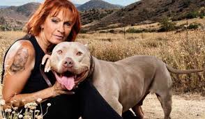 Five Things You Didn T Know About Tia Torres Pit Bulls Parolees Animal Planet Pit Bulls