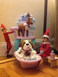Elf Pet Reindeer And Dog Salon Elf On The Shelf Pet Ideas Elf Pets Christmas Elf