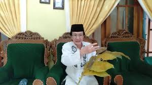 Dok, saya ingin menanyakan terkait masalah gagal ginjal. Gagal Ginjal Sembuh Dgn Daun Sukun Youtube