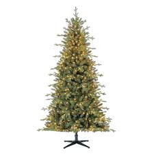 Maybe you would like to learn more about one of these? Holiday Time Prelit Fir Christmas Tree 7 Ft Green From Walmart In Dallas Tx Burpy Com