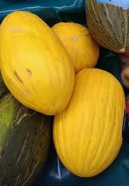 Canary Melon Melon Fruit Picking Fruit Photography
