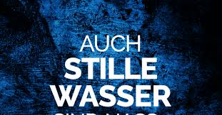 Auch Stille Wasser Sind Nass Fun Witzige Spruche