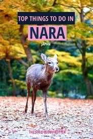Nara Day Trip From Osaka All You Need To Know Asia Travel Japan Travel Guide Day Trips