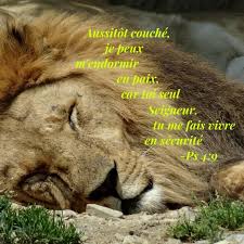 Bonne Nuit Bible Animals Lion
