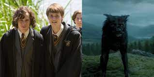 The Mysterious Identity of Padfoot Revealed: Unveiling the Secrets of Harry  Potter