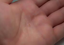 For every 5,000 diamonds you receive 25 us dollars. Is This The Smallest Diamond Ring In The World The Jewellery Cut