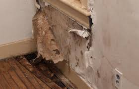 We did not find results for: Cara Mengatasi Tembok Lembab Dan Cat Mengelupas Depo Bagoes Bangunan