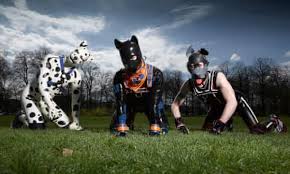 It's also important when there's a size difference between the resident dog and the new pup. The Men Who Live As Dogs We Re Just The Same As Any Person On The High Street Documentary The Guardian