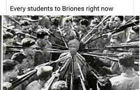 More dominic briones memes… this item will be deleted. If You Re A Student You Might Get This Shame On Secretary Leonor Briones For Saying Basa Ang Module Namin Siguro Ibilad Nila Yung Iba Pinaplantsa I Ve Got A Link In The Comments
