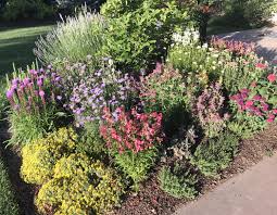 Naturalawn of america denver,colorado,80223,1677 s acoma st telefon 3037777772 ,opening hours , reviews ,landscaping,pest control,lawn services,seeding & fertilizing contractors,weed control service) Planning Your Colorado Home Landscape Tips From The Pros The Know