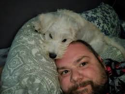 Oscar is not amused with me haha 🤣 he hates having his jumper