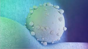 Pancreatic cancer treatment stage 4. Treatment For Stage 4 Pancreatic Cancer Onco Com