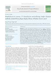 And nuclei were stained with nuclear. Pdf Staphylococcus Aureus B Hemolysin Neutralizing Single Domain Antibody Isolated From Phage Display Library Of Indian Desert Camel